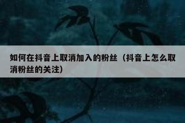 如何在抖音上取消加入的粉丝（抖音上怎么取消粉丝的关注） 第1张