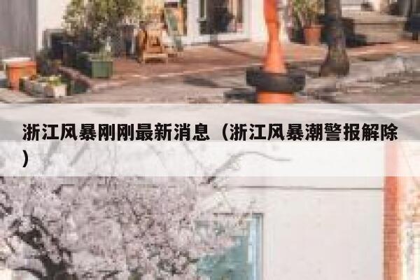 浙江风暴刚刚最新消息（浙江风暴潮警报解除） 第1张