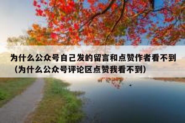为什么公众号自己发的留言和点赞作者看不到（为什么公众号评论区点赞我看不到） 第1张