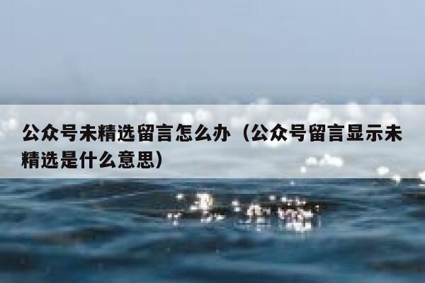 公众号未精选留言怎么办（公众号留言显示未精选是什么意思） 第1张