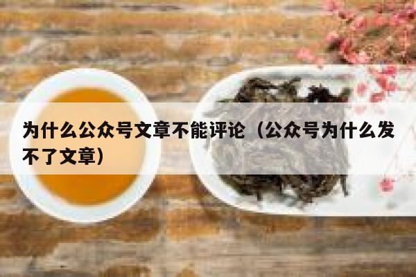 为什么公众号文章不能评论（公众号为什么发不了文章） 第1张
