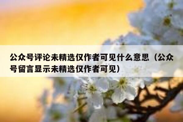 公众号评论未精选仅作者可见什么意思(公众号留言显示未精选仅作者可见) 第1张 公众号评论未精选仅作者可见什么意思(公众号留言显示未精选仅作者可见) 第1张