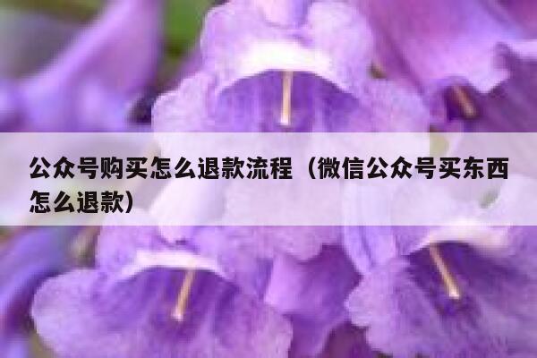 公众号购买怎么退款流程（微信公众号买东西怎么退款） 第1张