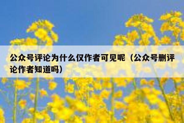 公众号评论为什么仅作者可见呢（公众号删评论作者知道吗） 第1张