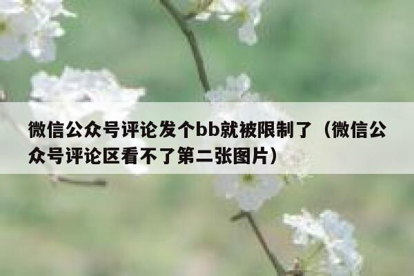 微信公众号评论发个bb就被限制了（微信公众号评论区看不了第二张图片） 第1张