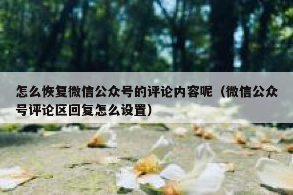 怎么恢复微信公众号的评论内容呢(微信公众号评论区回复怎么设置) 第1张 怎么恢复微信公众号的评论内容呢(微信公众号评论区回复怎么设置) 第1张