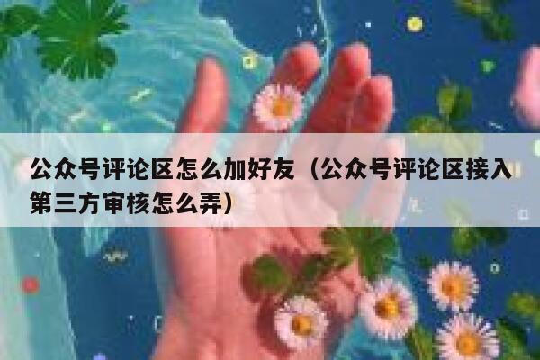 公众号评论区怎么加好友（公众号评论区接入第三方审核怎么弄） 第1张