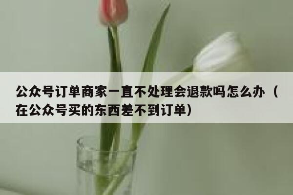 公众号订单商家一直不处理会退款吗怎么办(在公众号买的东西差不到订单) 第1张 公众号订单商家一直不处理会退款吗怎么办(在公众号买的东西差不到订单) 第1张