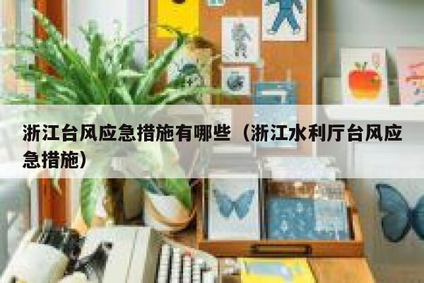 浙江台风应急措施有哪些（浙江水利厅台风应急措施） 第1张