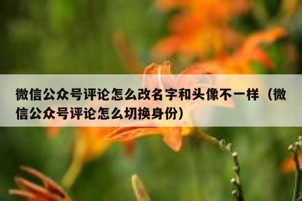 微信公众号评论怎么改名字和头像不一样(微信公众号评论怎么切换身份) 第1张 微信公众号评论怎么改名字和头像不一样(微信公众号评论怎么切换身份) 第1张