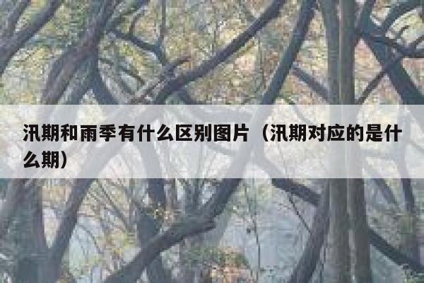 汛期和雨季有什么区别图片(汛期对应的是什么期) 第1张 汛期和雨季有什么区别图片(汛期对应的是什么期) 第1张