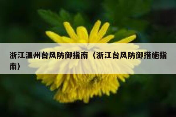 浙江温州台风防御指南（浙江台风防御措施指南） 第1张
