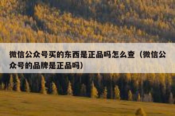 微信公众号买的东西是正品吗怎么查（微信公众号的品牌是正品吗） 第1张