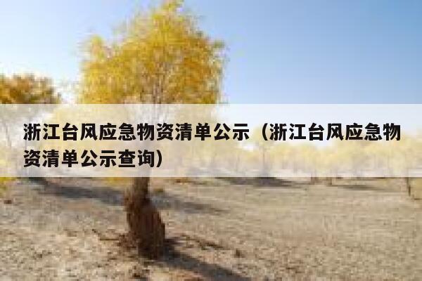 浙江台风应急物资清单公示（浙江台风应急物资清单公示查询） 第1张