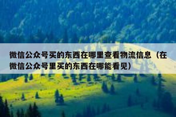 微信公众号买的东西在哪里查看物流信息（在微信公众号里买的东西在哪能看见） 第1张