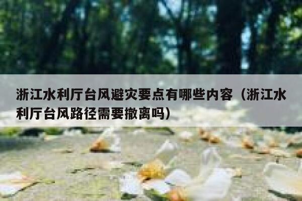 浙江水利厅台风避灾要点有哪些内容（浙江水利厅台风路径需要撤离吗） 第1张