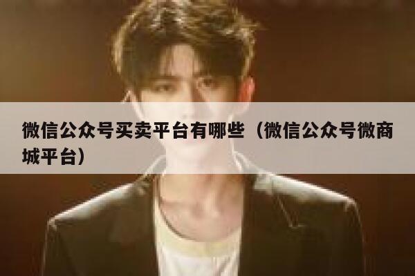 微信公众号买卖平台有哪些(微信公众号微商城平台) 第1张 微信公众号买卖平台有哪些(微信公众号微商城平台) 第1张
