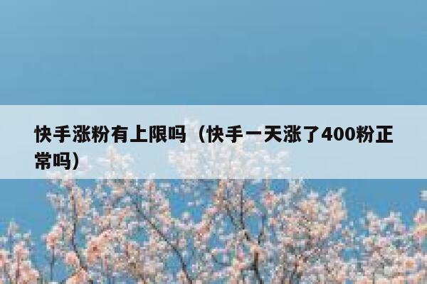 快手涨粉有上限吗（快手一天涨了400粉正常吗） 第1张