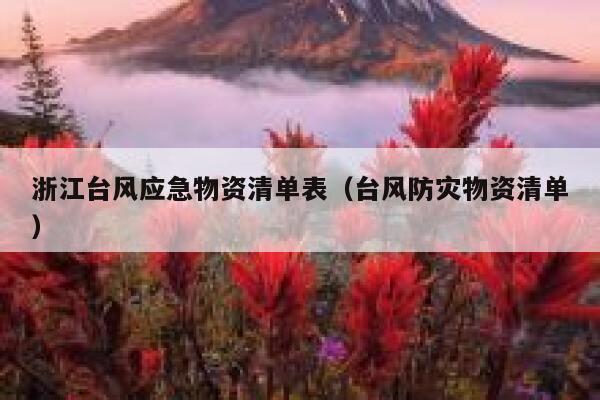 浙江台风应急物资清单表（台风防灾物资清单） 第1张