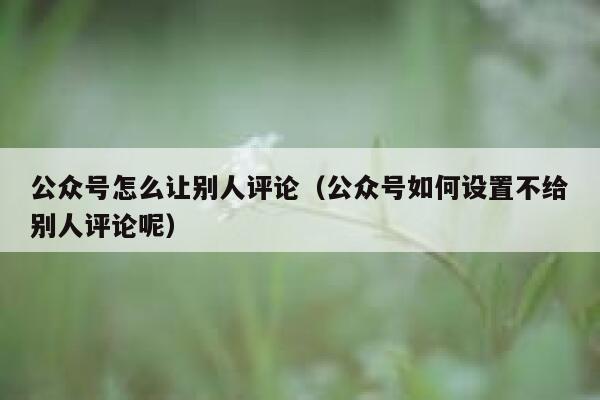 公众号怎么让别人评论（公众号如何设置不给别人评论呢） 第1张