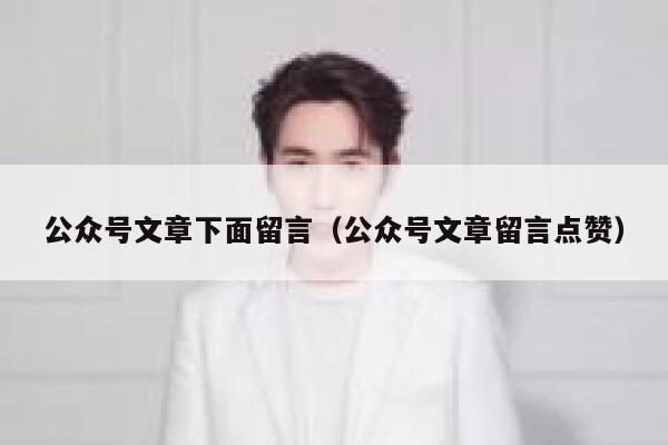 公众号文章下面留言（公众号文章留言点赞） 第1张