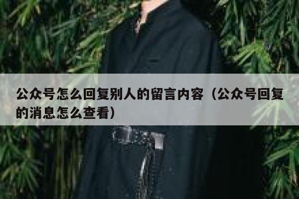 公众号怎么回复别人的留言内容（公众号回复的消息怎么查看） 第1张