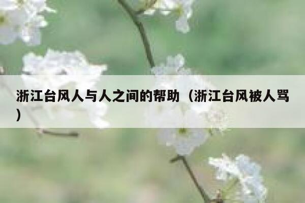 浙江台风人与人之间的帮助(浙江台风被人骂) 第1张 浙江台风人与人之间的帮助(浙江台风被人骂) 第1张