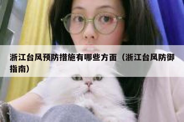 浙江台风预防措施有哪些方面（浙江台风防御指南） 第1张