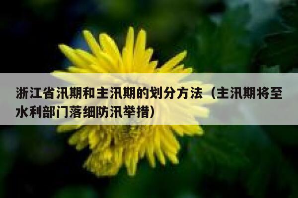 浙江省汛期和主汛期的划分方法（主汛期将至水利部门落细防汛举措） 第1张