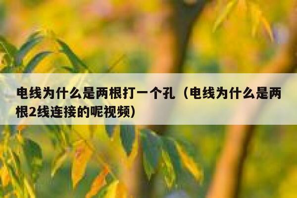 电线为什么是两根打一个孔（电线为什么是两根2线连接的呢视频） 第1张
