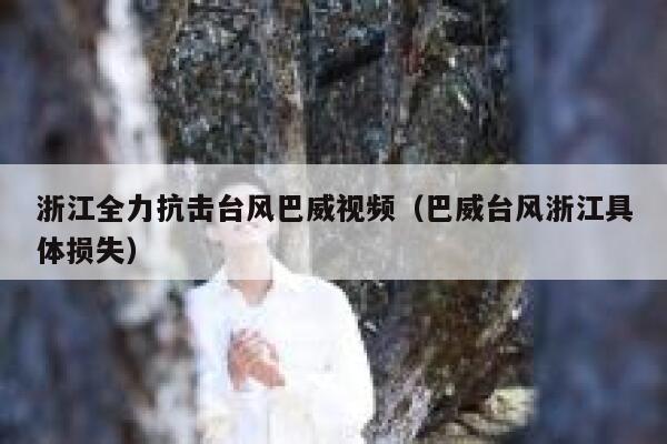 浙江全力抗击台风巴威视频（巴威台风浙江具体损失） 第1张