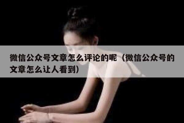 微信公众号文章怎么评论的呢（微信公众号的文章怎么让人看到） 第1张