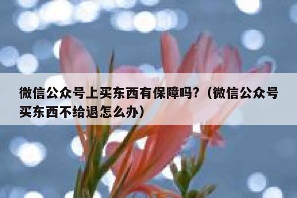 微信公众号上买东西有保障吗?（微信公众号买东西不给退怎么办） 第1张
