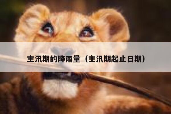 主汛期的降雨量（主汛期起止日期） 第1张