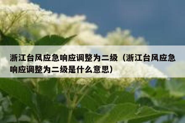 浙江台风应急响应调整为二级（浙江台风应急响应调整为二级是什么意思） 第1张