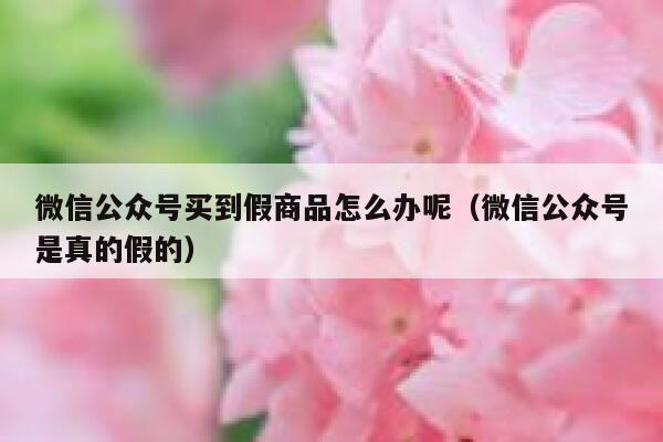微信公众号买到假商品怎么办呢（微信公众号是真的假的） 第1张