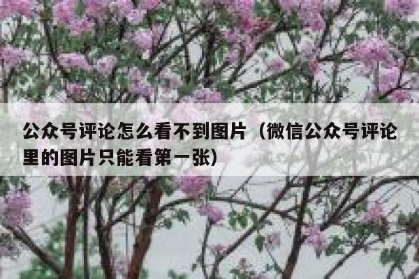 公众号评论怎么看不到图片（微信公众号评论里的图片只能看第一张） 第1张