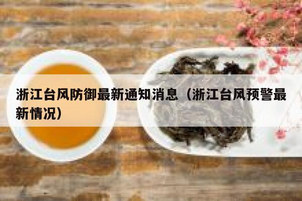 浙江台风防御最新通知消息（浙江台风预警最新情况） 第1张