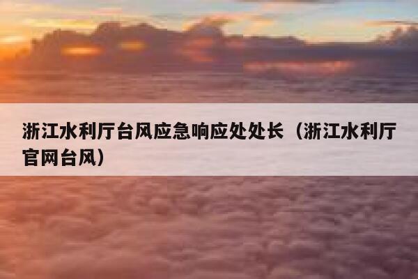 浙江水利厅台风应急响应处处长（浙江水利厅官网台风） 第1张