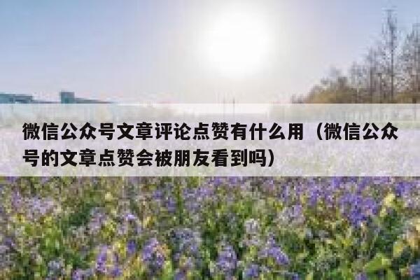微信公众号文章评论点赞有什么用(微信公众号的文章点赞会被朋友看到吗) 第1张 微信公众号文章评论点赞有什么用(微信公众号的文章点赞会被朋友看到吗) 第1张