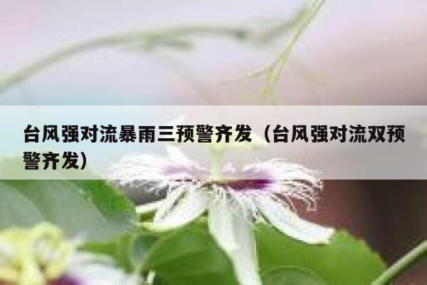 台风强对流暴雨三预警齐发（台风强对流双预警齐发） 第1张