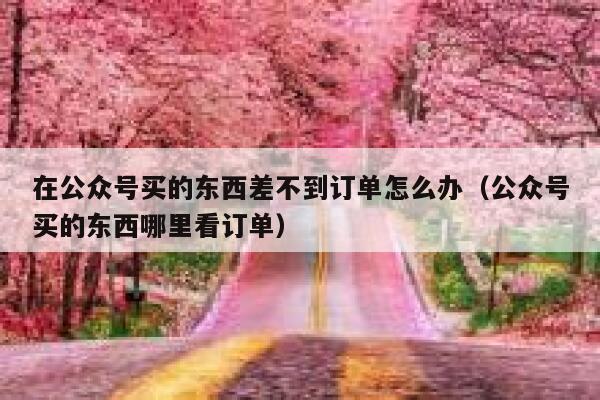 在公众号买的东西差不到订单怎么办(公众号买的东西哪里看订单) 第1张 在公众号买的东西差不到订单怎么办(公众号买的东西哪里看订单) 第1张