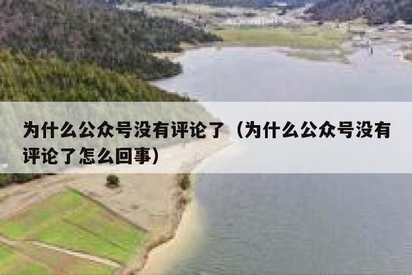 为什么公众号没有评论了（为什么公众号没有评论了怎么回事） 第1张