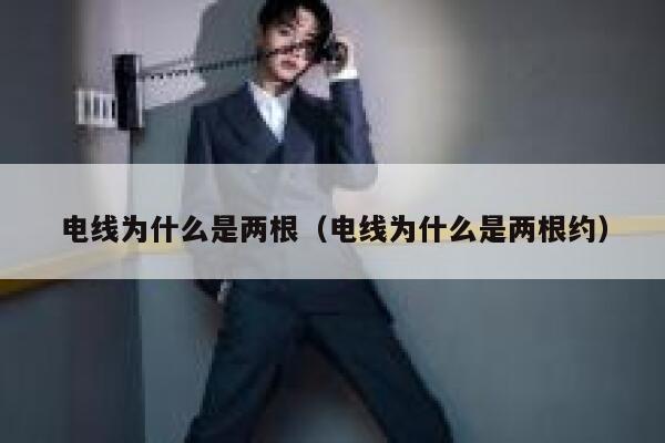 电线为什么是两根（电线为什么是两根约） 第1张