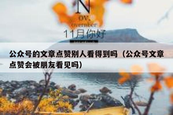 公众号的文章点赞别人看得到吗（公众号文章点赞会被朋友看见吗） 第1张