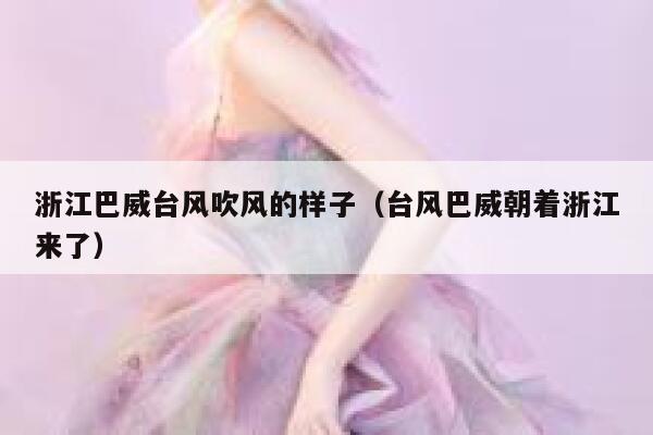 浙江巴威台风吹风的样子（台风巴威朝着浙江来了） 第1张