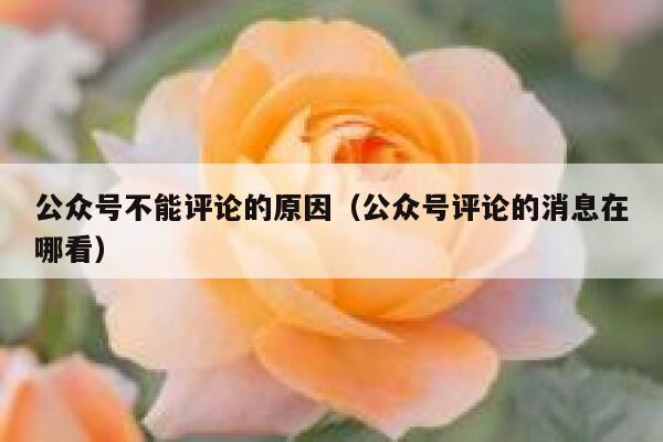 公众号不能评论的原因（公众号评论的消息在哪看） 第1张