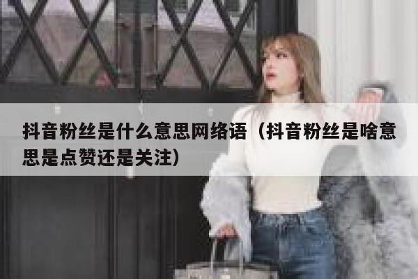 抖音粉丝是什么意思网络语（抖音粉丝是啥意思是点赞还是关注） 第1张