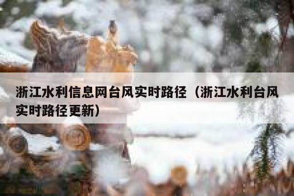 浙江水利信息网台风实时路径(浙江水利台风实时路径更新) 第1张 浙江水利信息网台风实时路径(浙江水利台风实时路径更新) 第1张