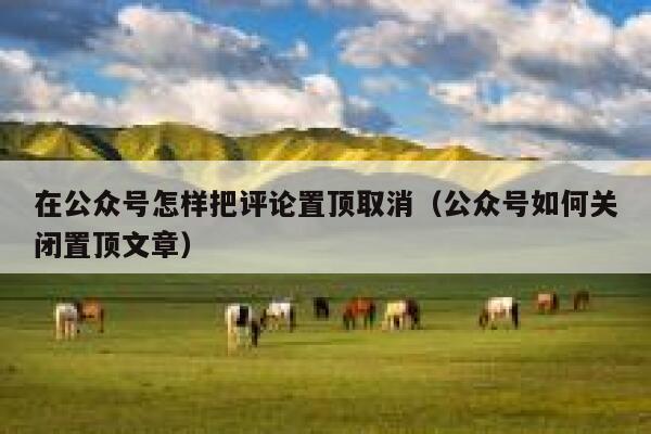 在公众号怎样把评论置顶取消（公众号如何关闭置顶文章） 第1张